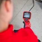 Rodent gnawing and sign of rats