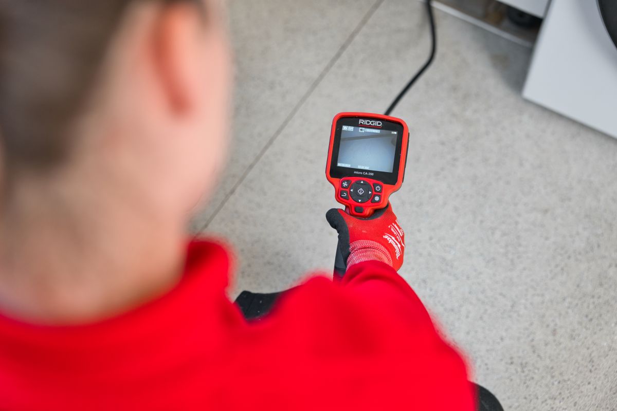 Rodent gnawing and sign of rats