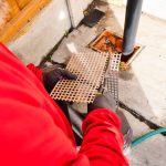 Do rats live in drains