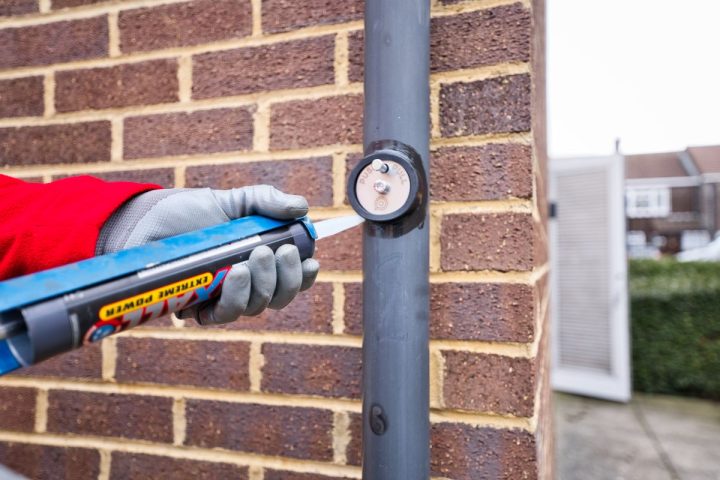 How do rat valves work