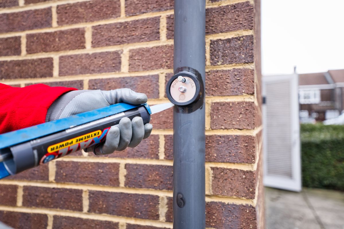 How do rat valves work