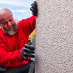Rats climbing up outside of building