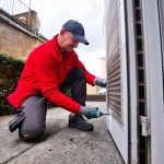 Rat problem doors and holes