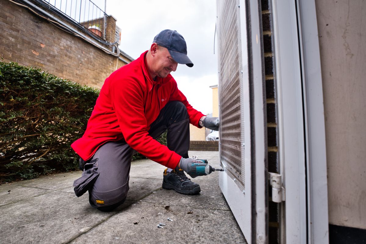 Rat problem doors and holes