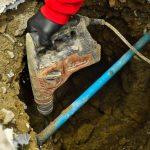 Rat infestation pest control