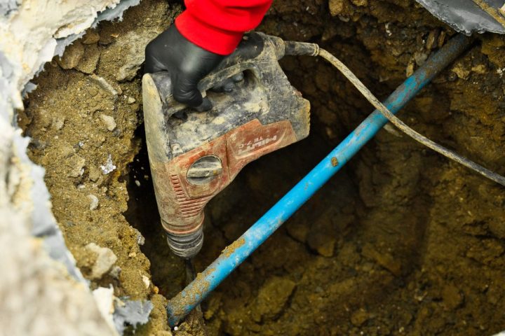 Rat infestation pest control