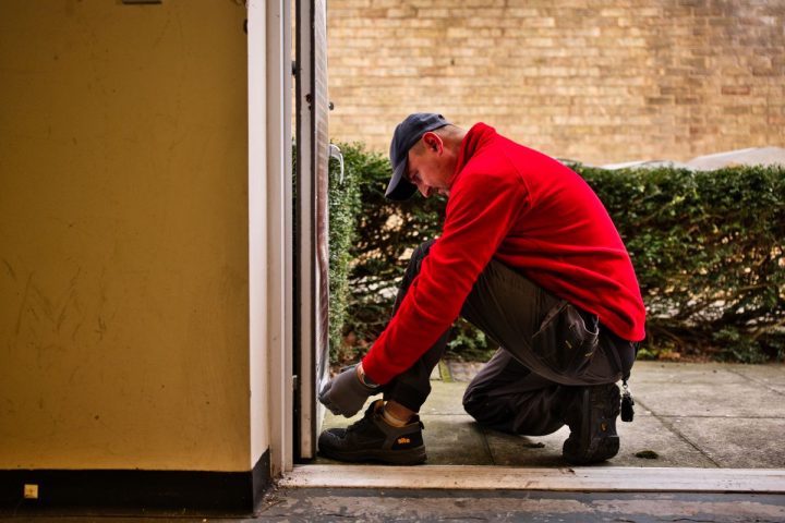 Rats and Coronavirus