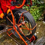 Rat control and pest control experts