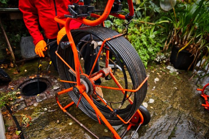 Rat control and pest control experts