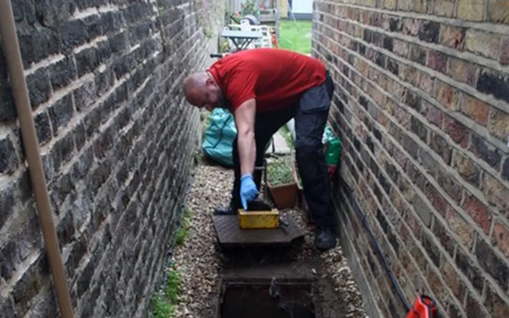 Pestology Pest Controller using manhole lifers, Rat Control Guarantee