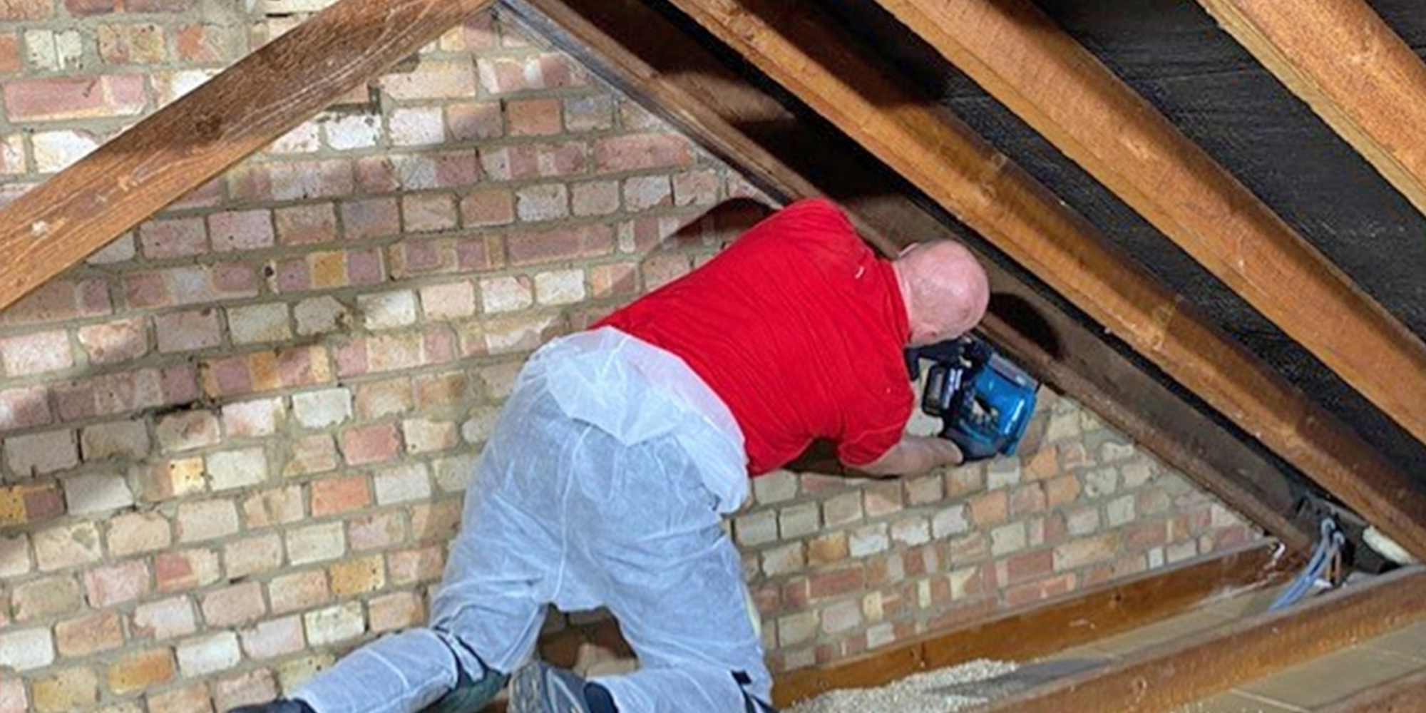 Rat Proofing Services by Pest Control Experts Pestology