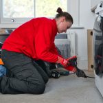 How to get rid of rats by pest control company