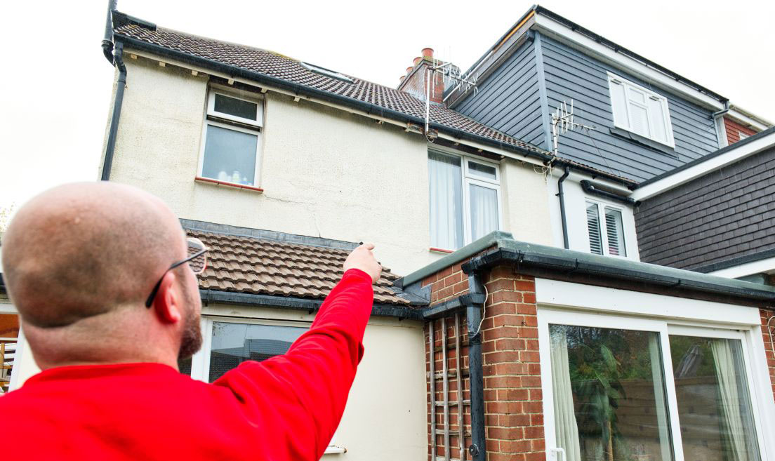 Pest Control for Homeowners and Business