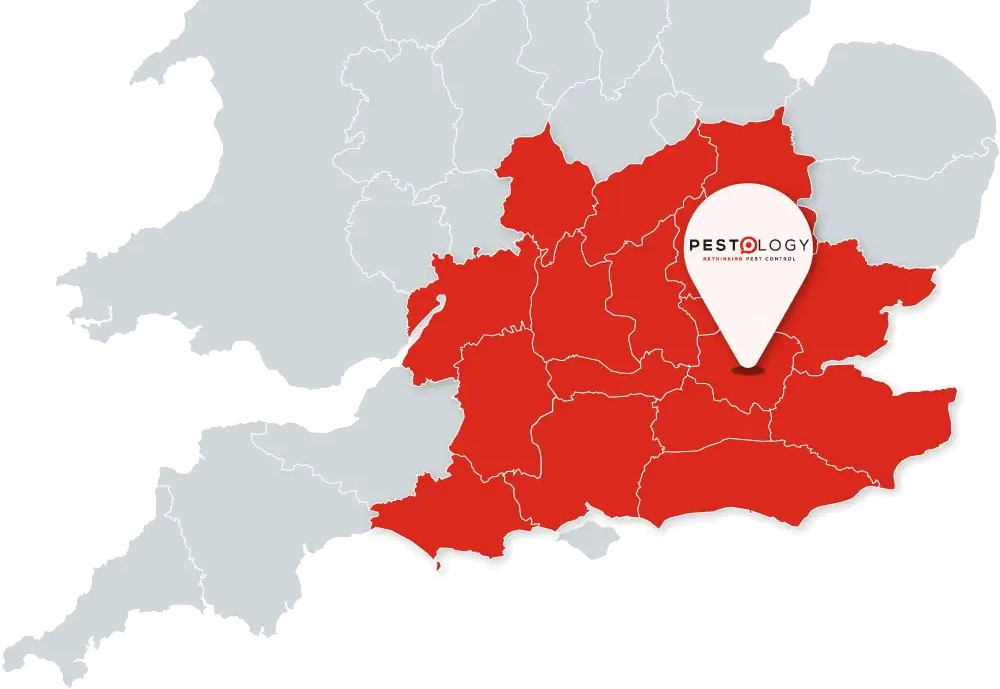 Rodent Control in London and the South of England