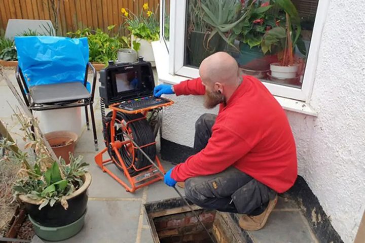 Get rid of rats pest controller