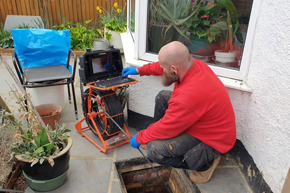 Get rid of rats pest controller