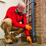 How to get rid of rats