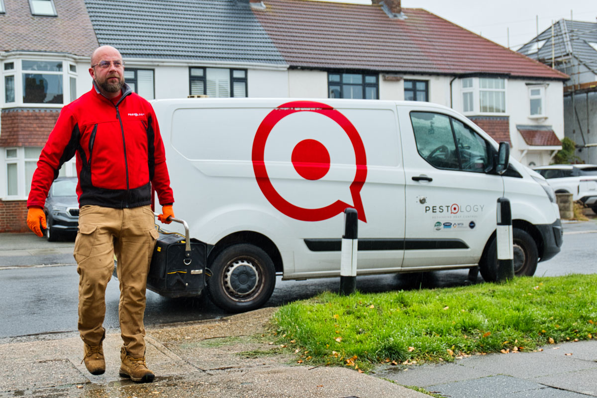 Mice Control Experts in London and the South East