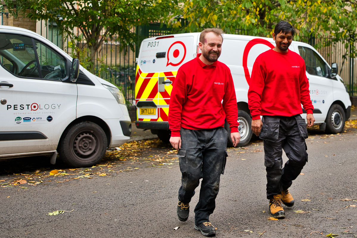 Pest Control Experts in London and the South East of England
