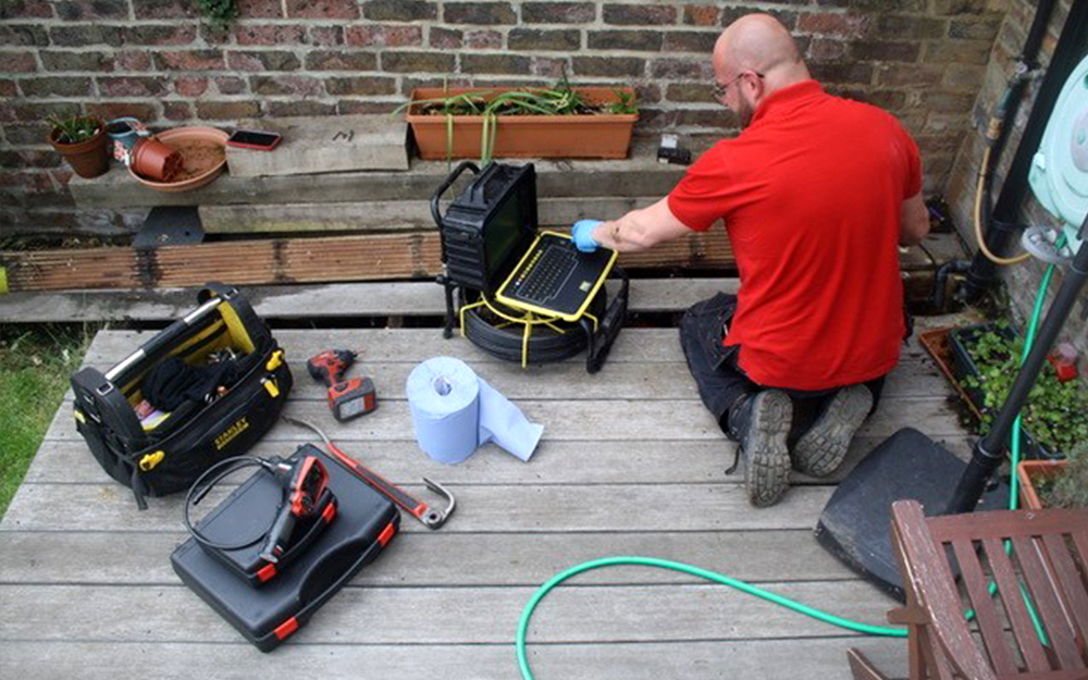 Rat control get rid of rats