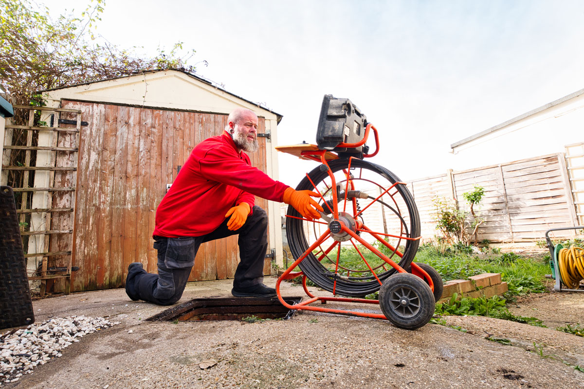 Rat Infestation Pest Control Solution