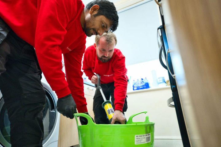 Rat Repellent is not the solution