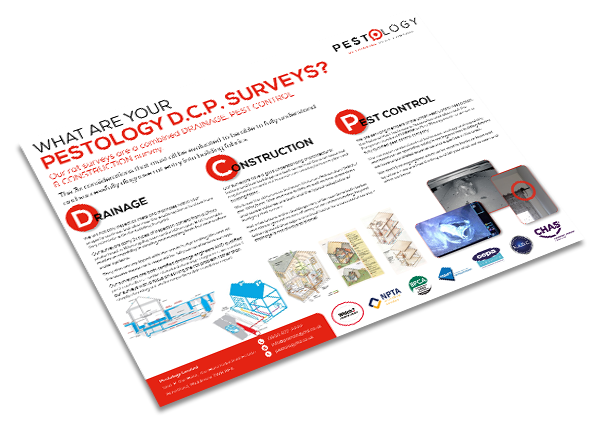 Pestology Pest Control Survey