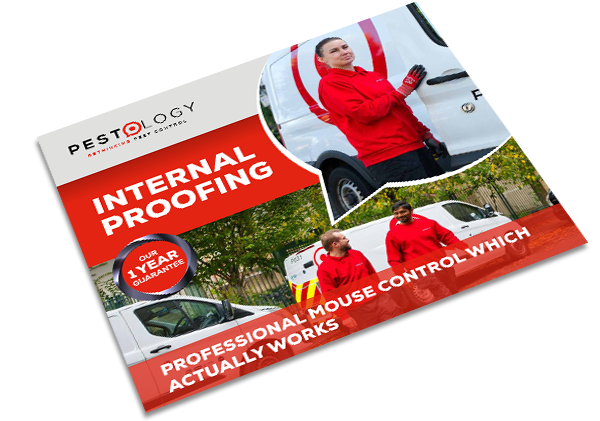 Professional Mouse Proofing