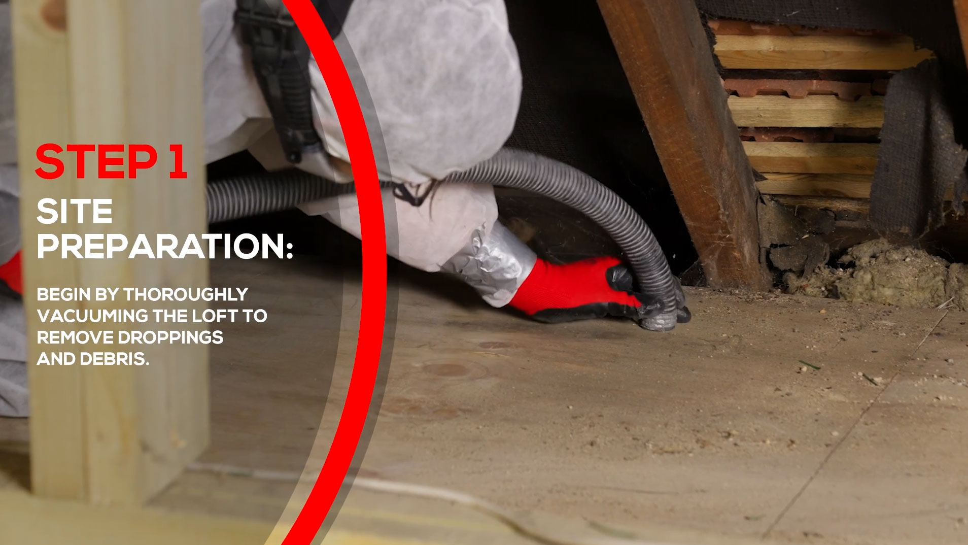 Rats in Loft Rat Proofing