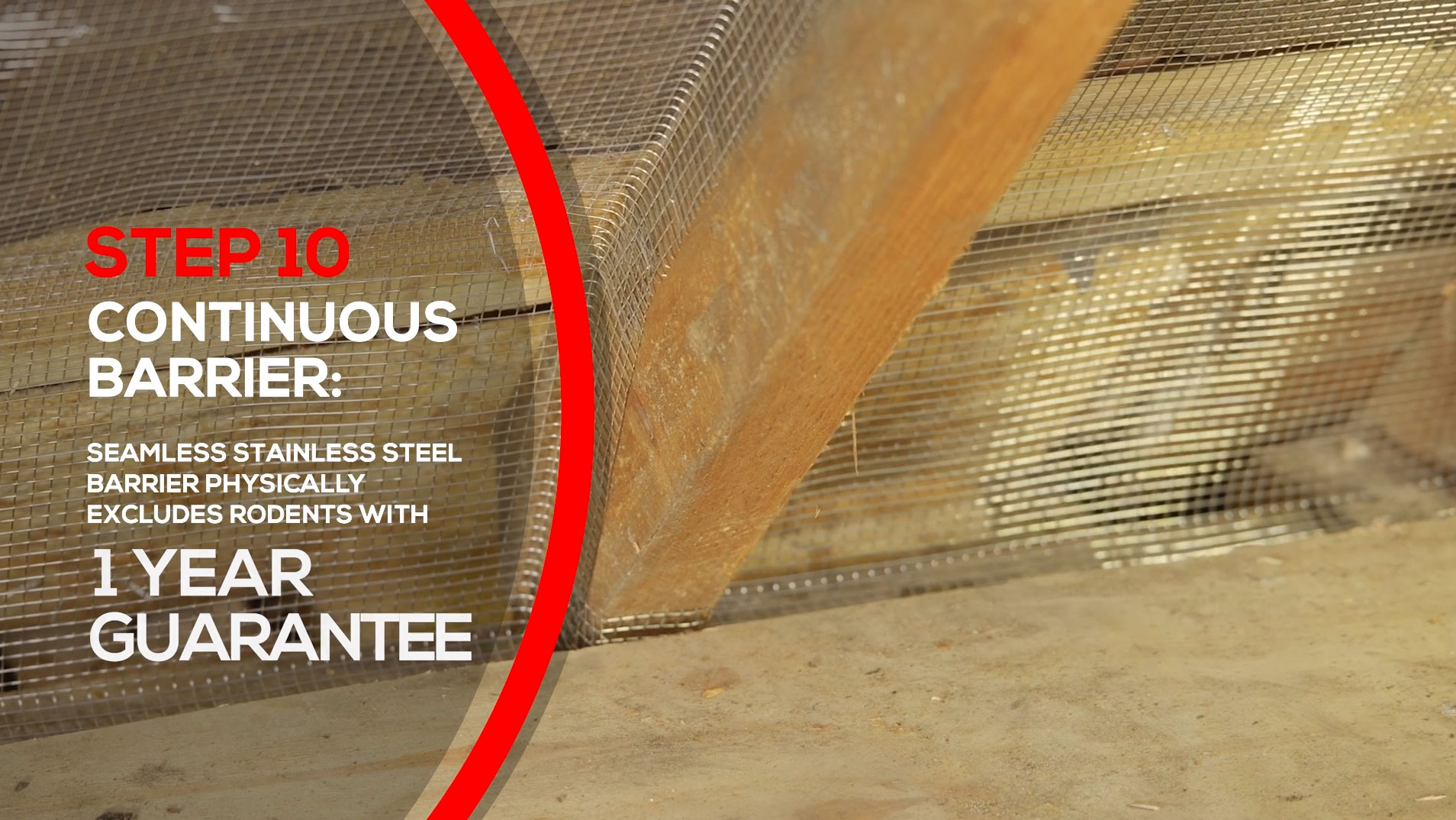 Rats in Loft Rat Proofing