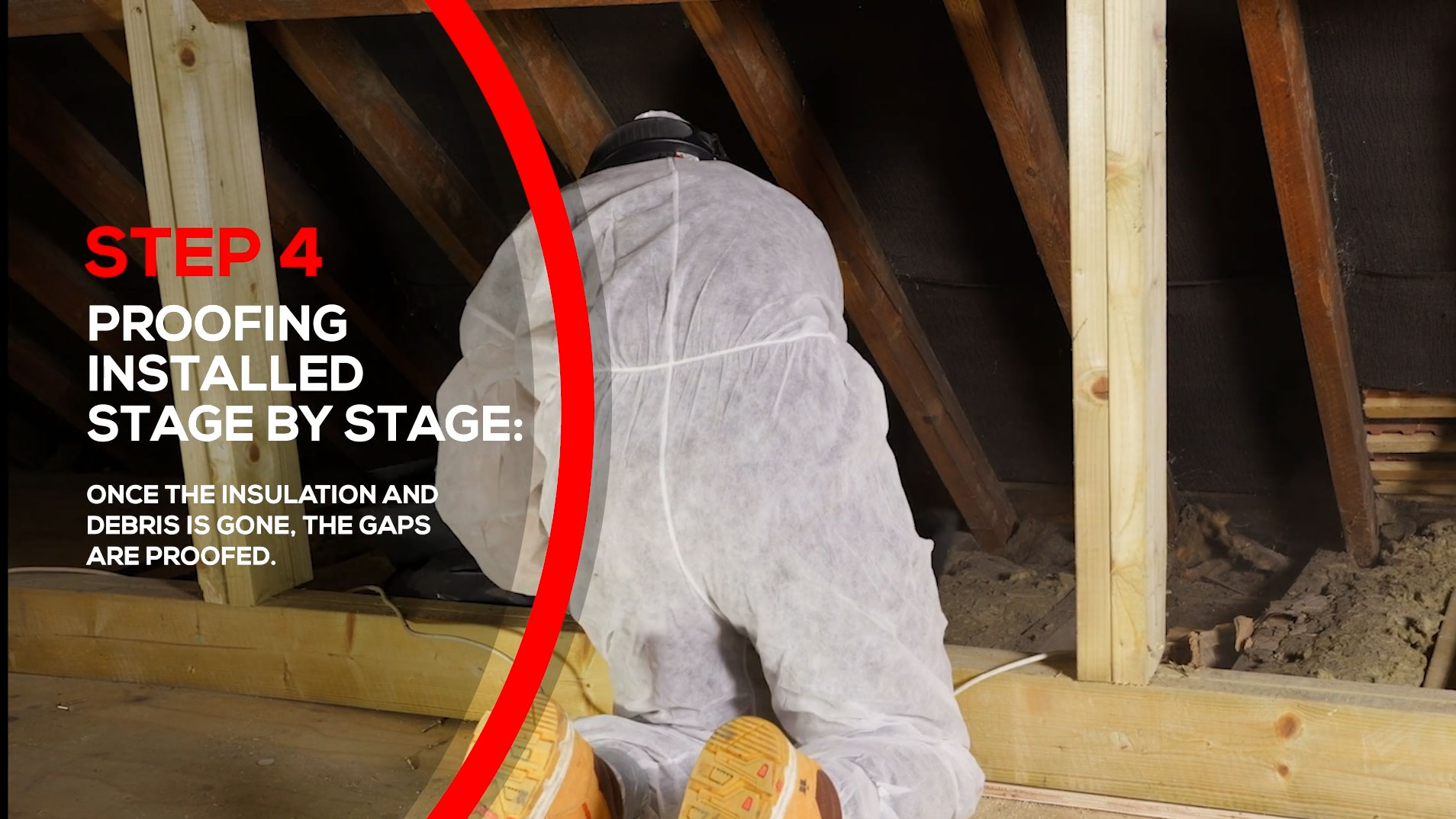 Rats in Loft Rat Proofing