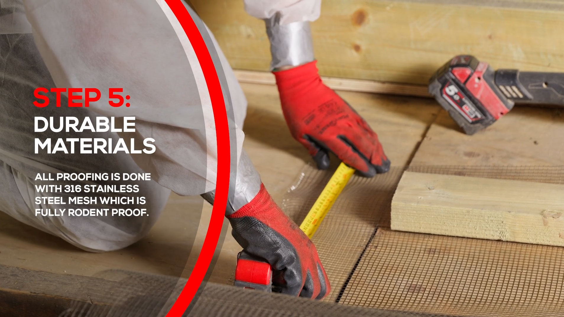 Rats in Loft Rat Proofing