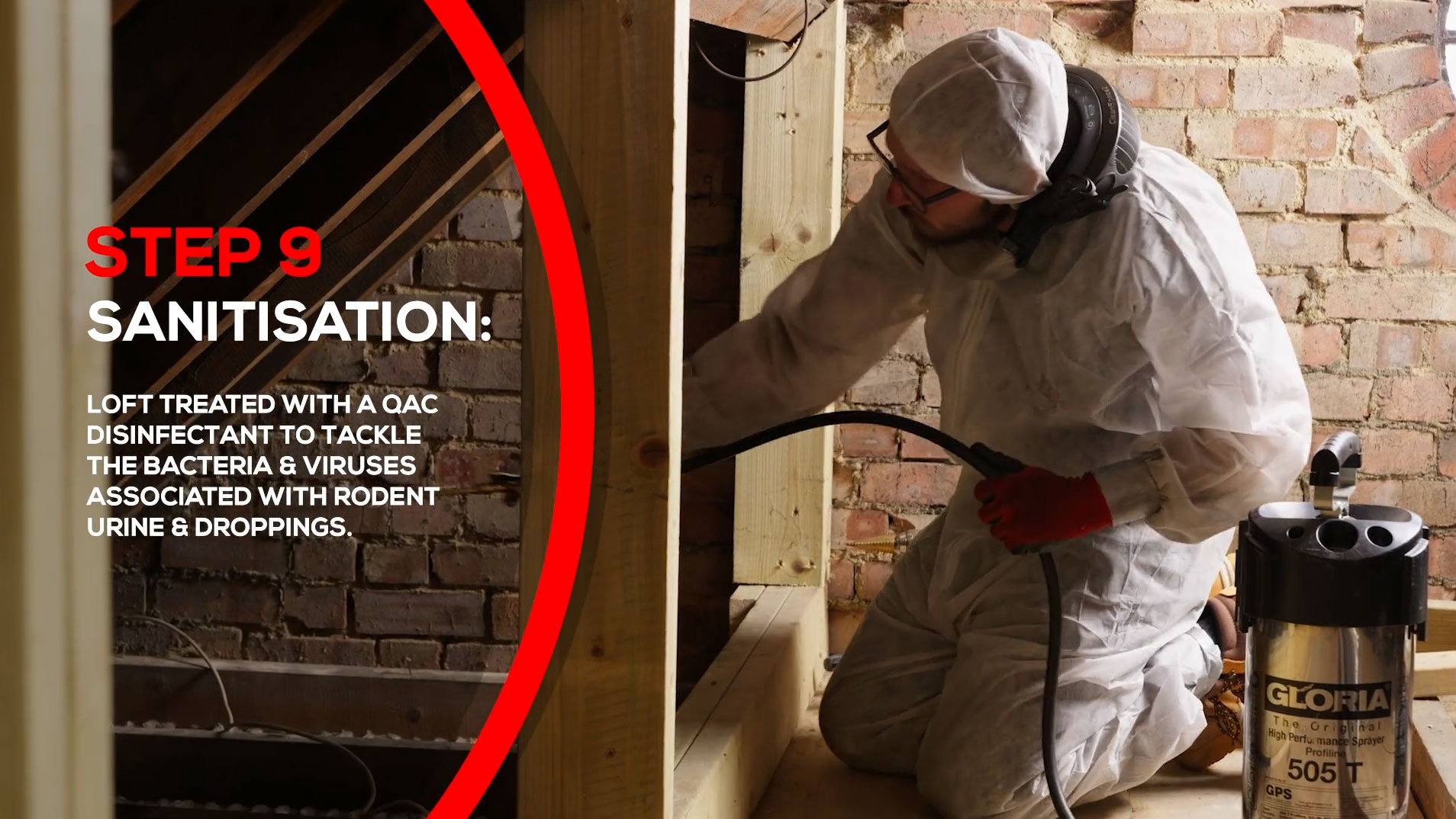 Rats in Loft Rat Proofing